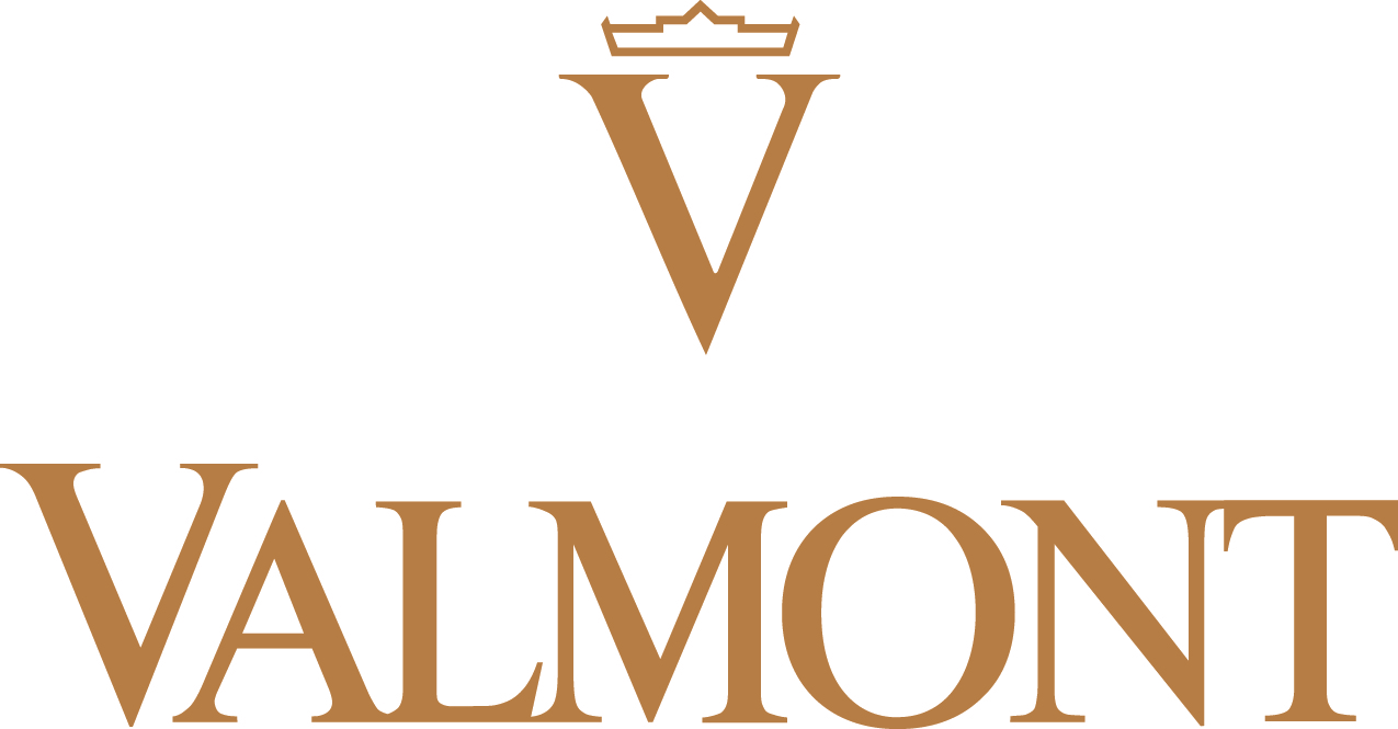 Logo_VValmont